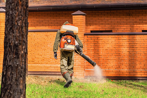 Trusted Bed Bug Control service in Adamsville, TN - Nex Pest Control